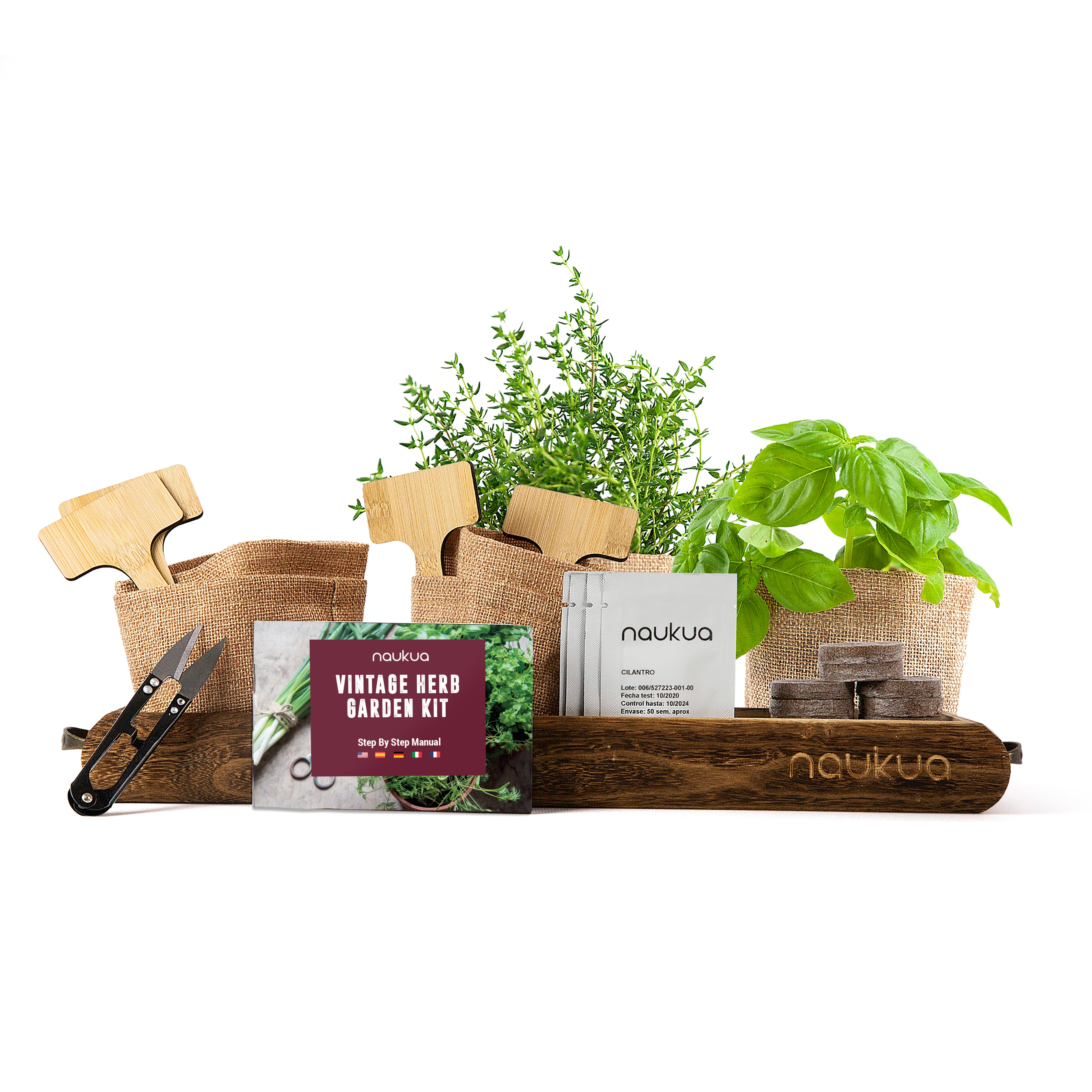 Kit de culture avec 4 herbes aromatiques et de nombreux accessoires - PEARL