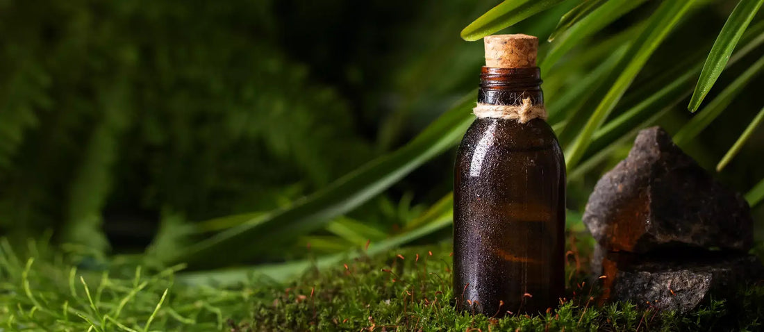 Qué es el aceite de Neem para Plantas? Beneficios Neem - naukua