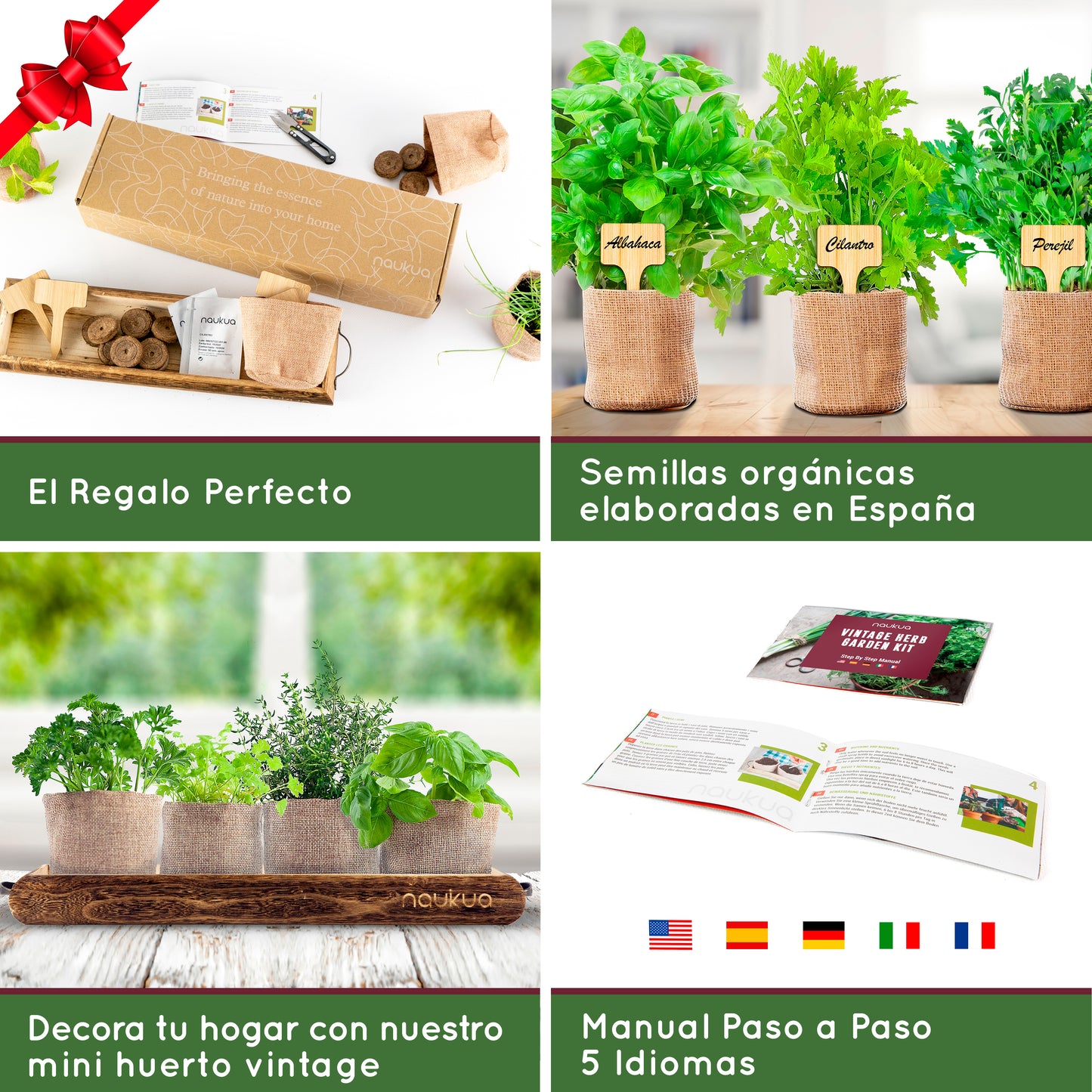 Vintage Urban Garden Grow Kit for Aromatic Herbs (Thyme, Basil, Parsley and Coriander)