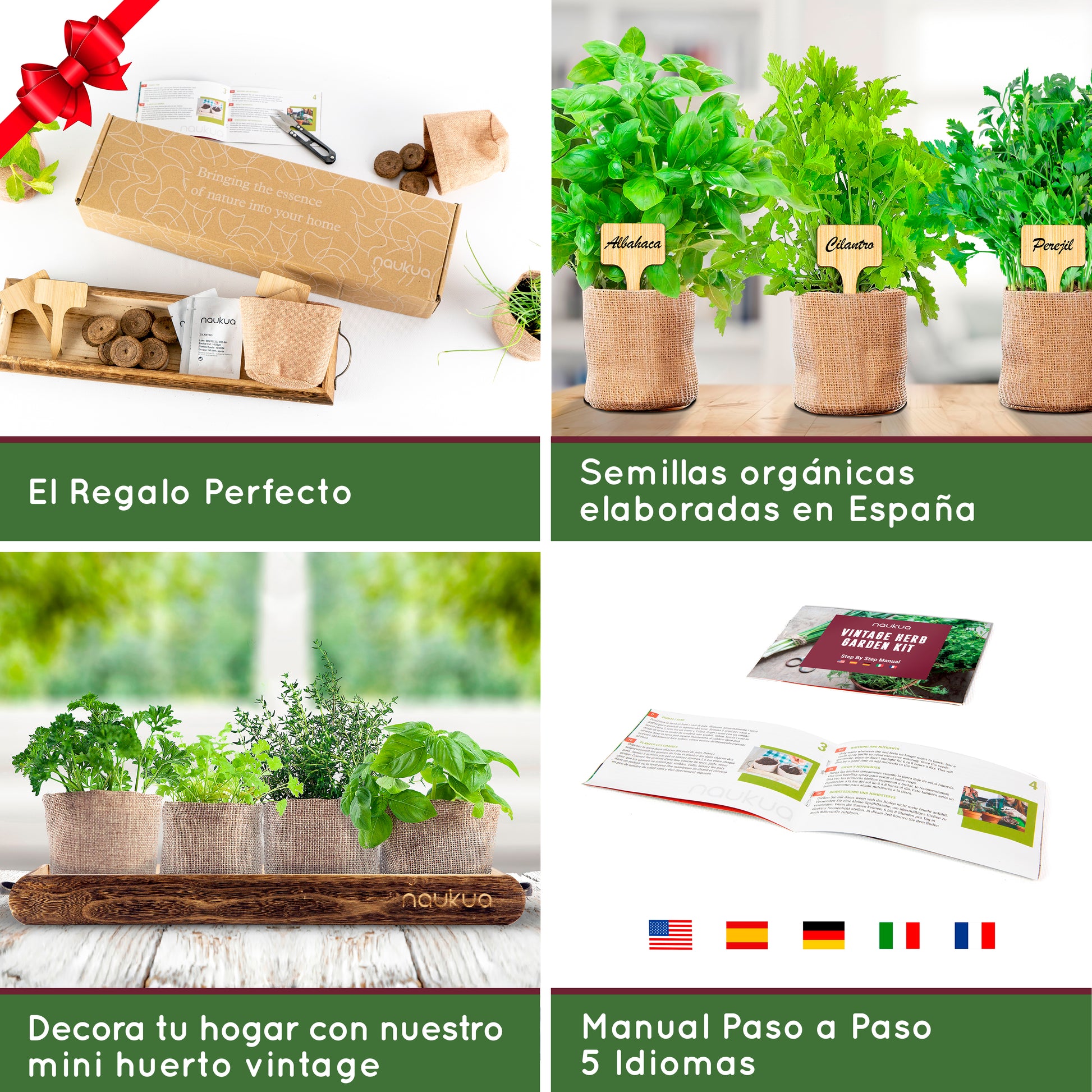 Achat Kit graine herbe & plante aromatique à planter pas cher - PRÊT A  JARDINER
