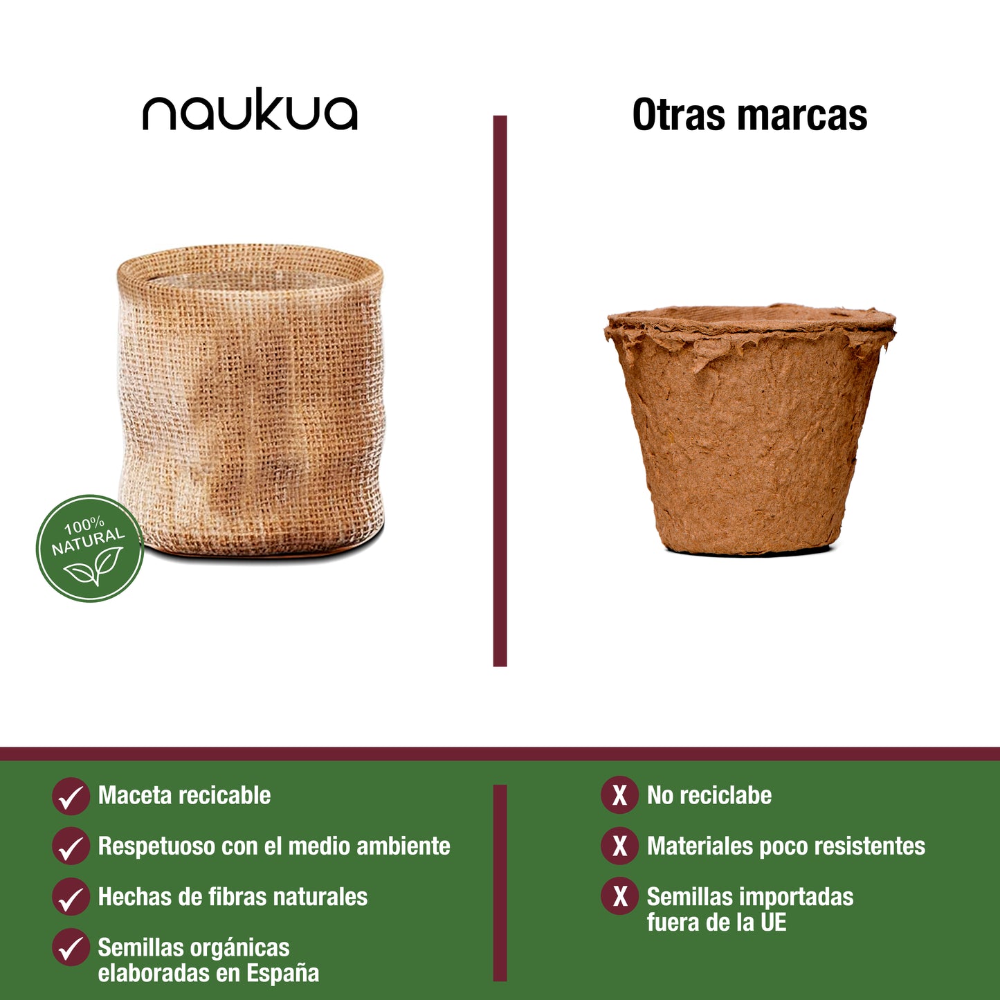 Kit de Cultivo Mini Huerto Urbano de Bonsais (Jacaranda, Abeto Noruego, Pino Australiano & Granado)