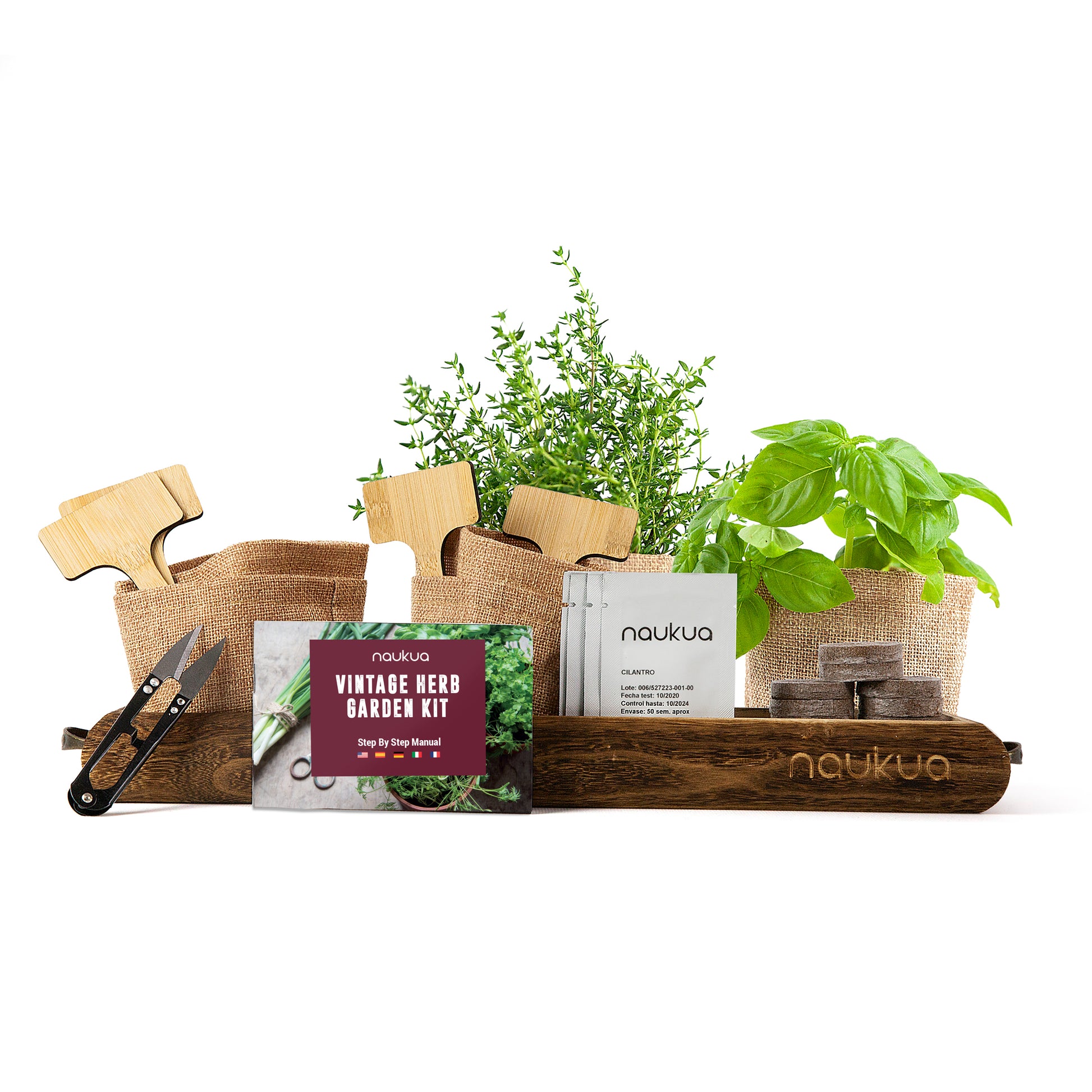 Plants d'aromatiques - Vente fines herbes en kit prêt à planter