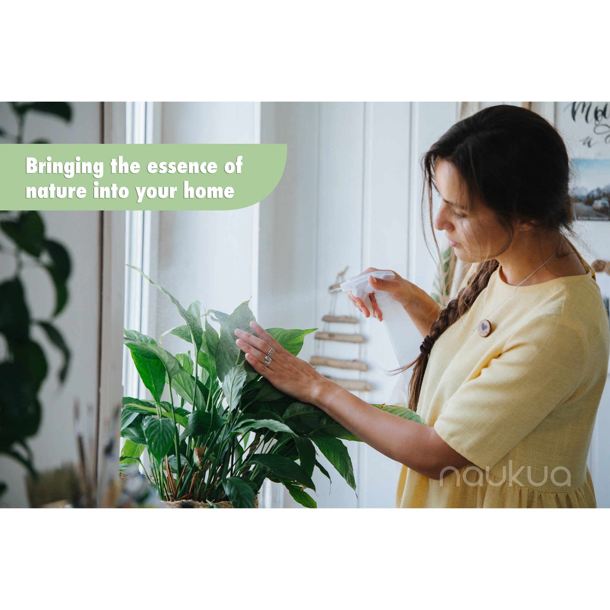 Aceite de neem para plantas de interior y exterior, jardinería puro sin  refinar, prensado en frío, repuesto en aerosol, aceite de neem para plantas  – Yaxa Store