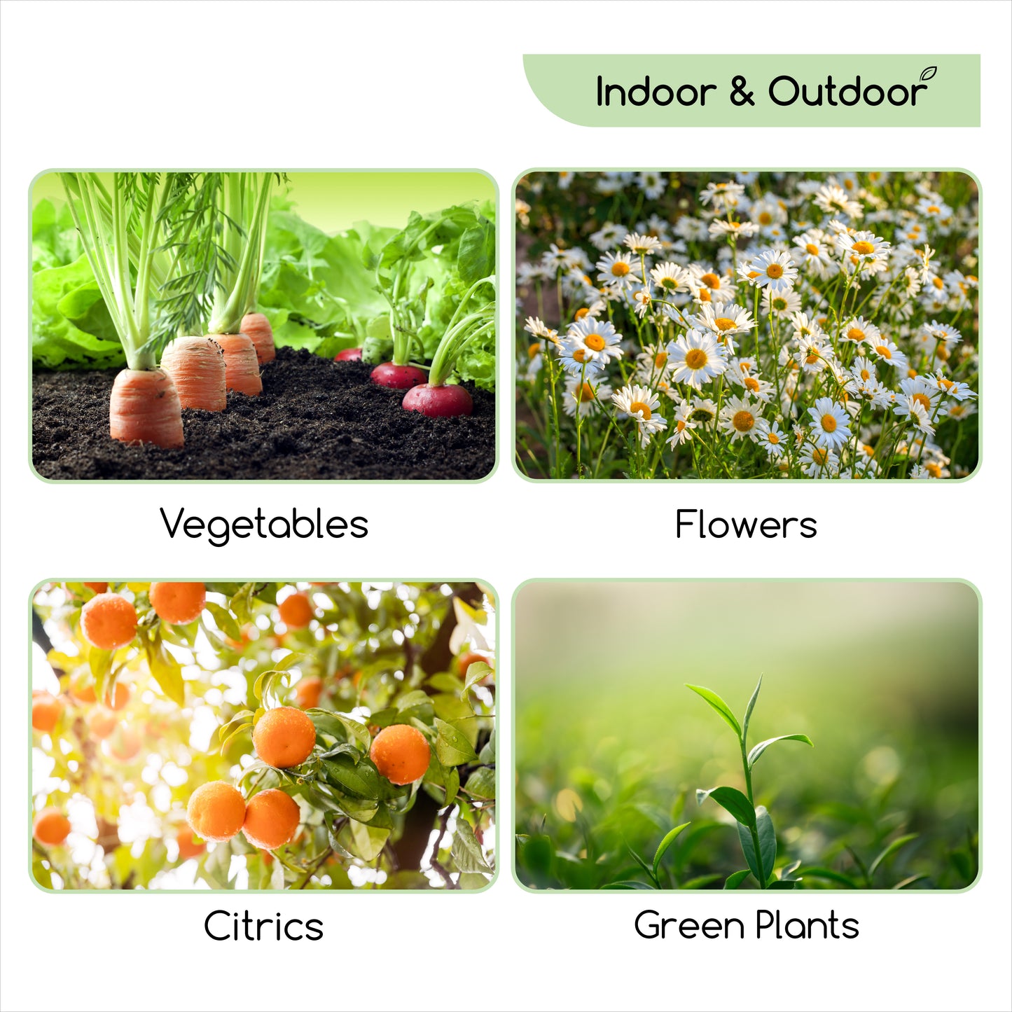 500ml Aceite de Neem Ecológico para Plantas y Flores - Protección y Defensa de Todo Tipo de Insectos, Plagas y Enfermedades