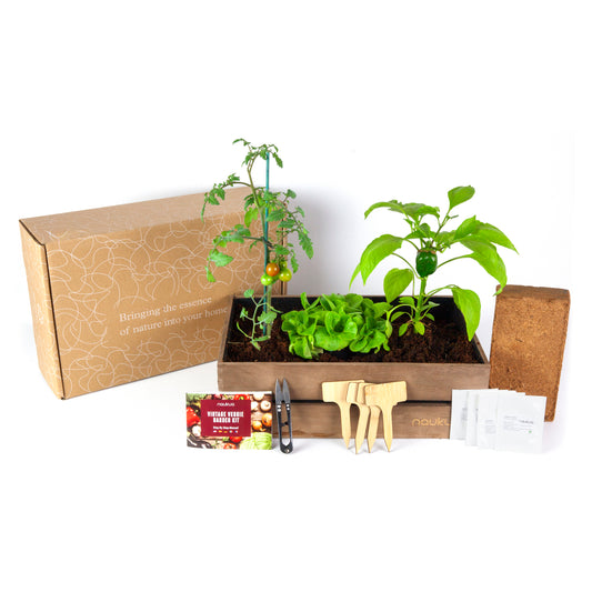 Grow Kit - Vintage Urban Mini Vegetable Garden (Lettuce, Radishes, Green Peppers and Cherry Tomatoes)